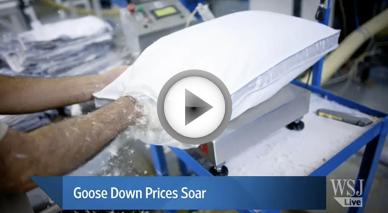 An Important Message About the Price of Down
