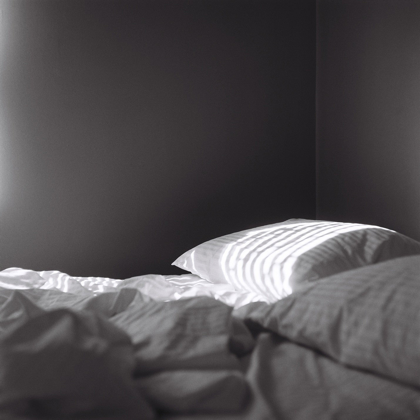 Sharon Radisch's Morning Series