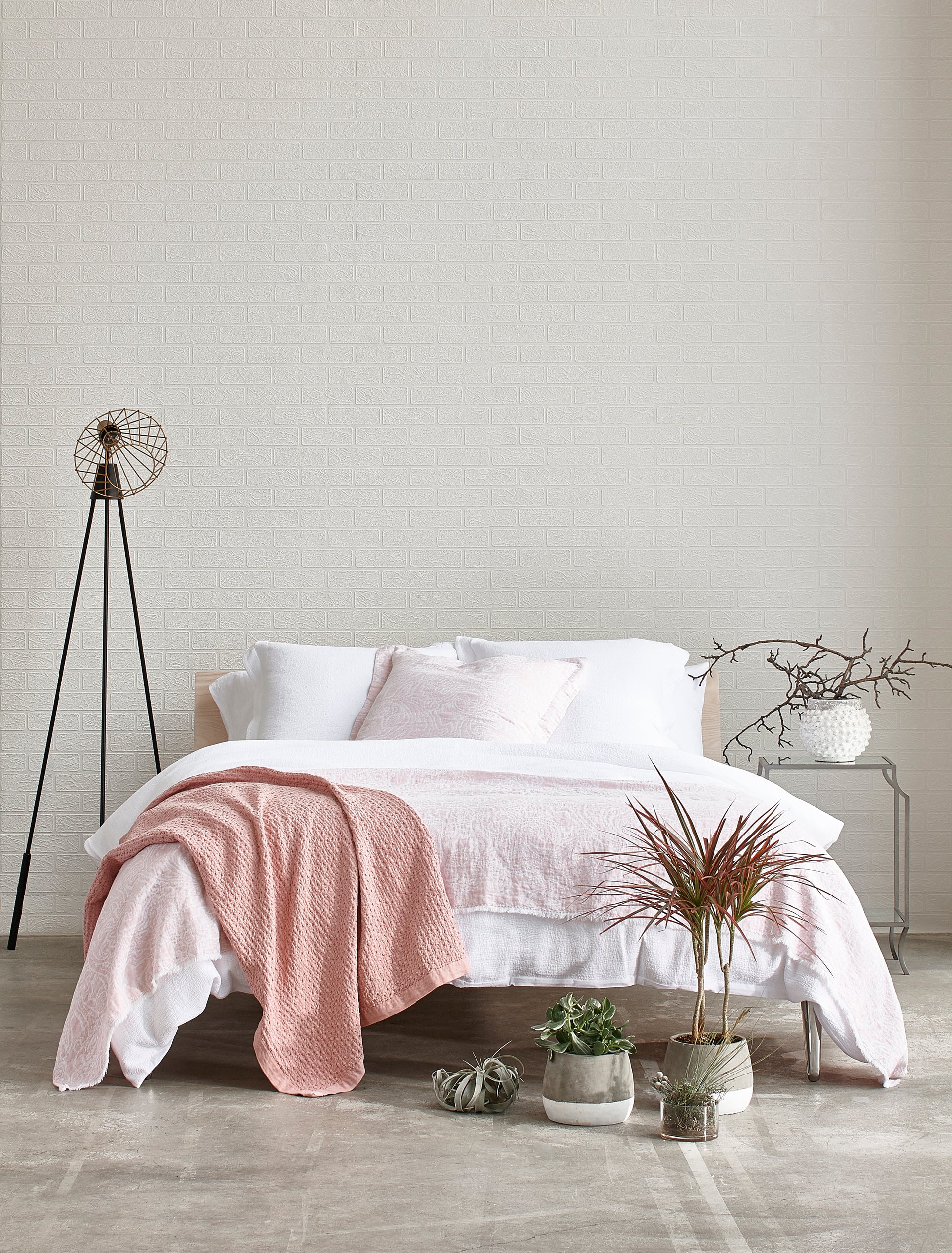 The Best Indoor Plants for a Better Night's Sleep