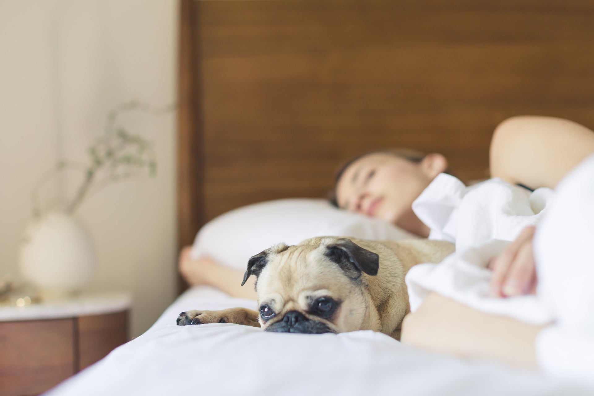 5 Steps to Becoming a Morning Person