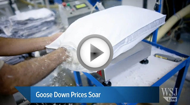 Why Is Goose Down So Expensive?